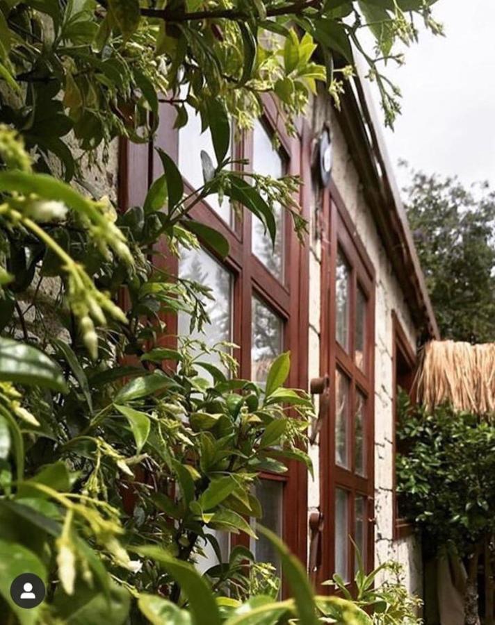 Zevkliler Alacati Boutique Hotel & Fine Dining Bagian luar foto